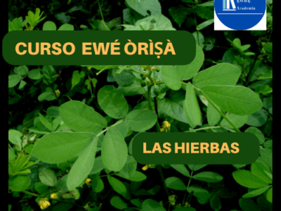 miniatura del curso
