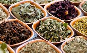 Hierbas Medicinales