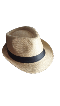 Sombrero de panamá